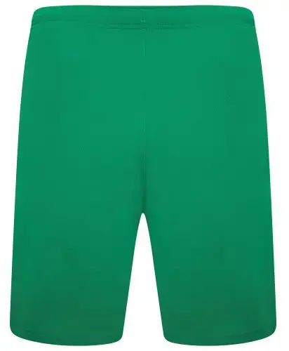 Шорты Puma teamRISE Short зеленый Муж XL купить недорого в Украине, фото 3