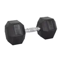 Гантель шестигранный inSPORTline Hexsteel 27,5 кг купить
