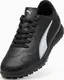 Сороконіжки дитячі Puma VITORIA II TT Jr чорний Діт 30 (11.5UK) 18 см купити