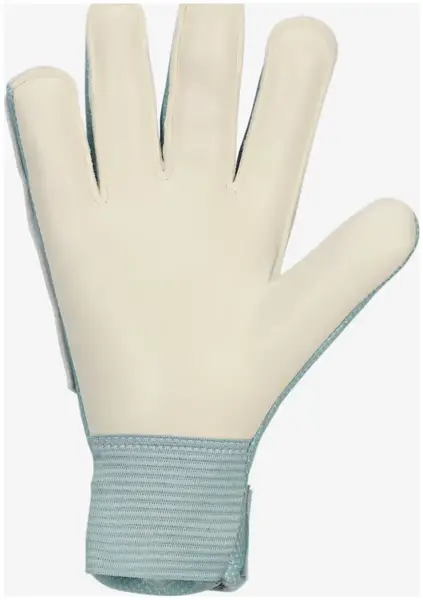 Вратарские перчатки Nike NK GK MATCH JR-HO24 голубой, розовый Дет 7 (19,6 см) купить недорого в Украине, фото 3