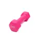 Гантель для фитнеса с виниловым покрытием Generation Fitness FF51D3A-1kg (розовый) купить недорого в Украине, фото 25462