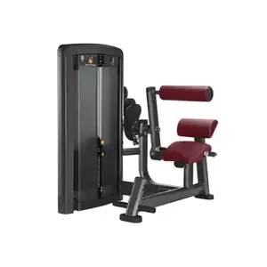 Розгинання спини Iron Impulse Back Extension RT.LS20 купити