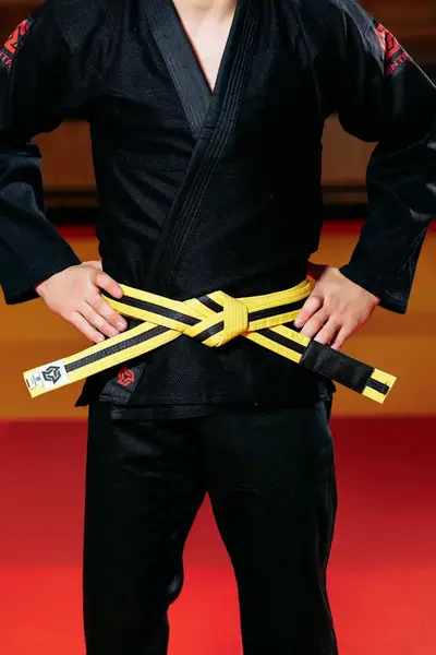 Желто-черный пояс для джиу джитса ТМ KINTAYO, 140 рост купить