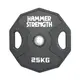 Диск для штанги 25 кг | Чорний | Hammer Strength купити недорого в Україні, фото 41216
