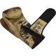 Боксерські рукавиці RDX T14 HARRIER Brown Tattoo 14 ун. купити