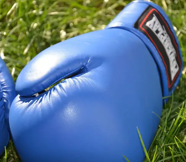 Боксерські рукавиці PowerPlay 3004 Classic Сині 10 унцій купити недорого в Україні, фото 10