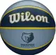 М'яч баскетбольний Wilson NBA TEAM Tribute BSKT MEM GRIZZLIES | Розмір 7 купити недорого в Україні, фото 40402