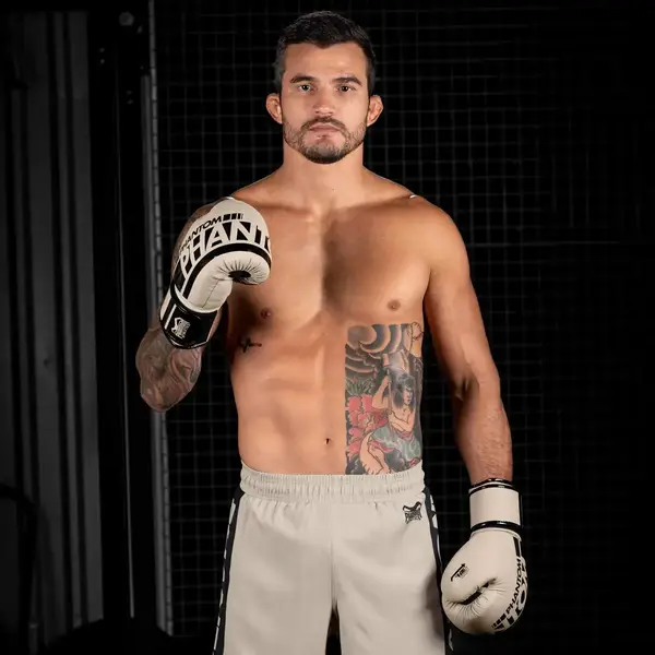 Боксерські рукавиці Phantom APEX Sand 10 унцій (капа в подарунок) купити недорого в Україні, фото 10