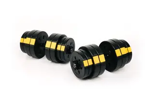 Гантелі розбірні Besport PowerPro 2х31 кг купити