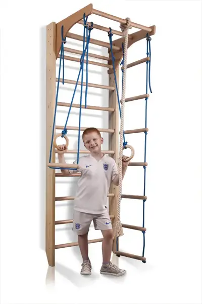 Детский спортивный уголок «Комби-2-220» купить