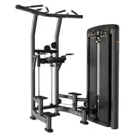 Профессиональный силовой тренажер Гравитрон Dip/Chin Assist Iron Impulse BH10 купить