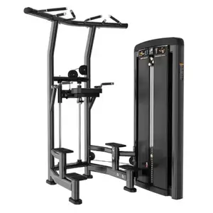 Професійний силовой тренажер Гравитрон Dip/Chin Assist Iron Impulse BH10 купити