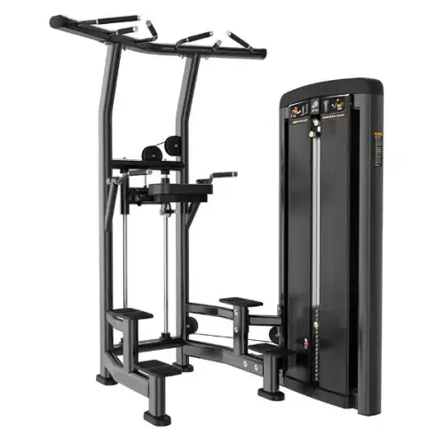 Професійний силовой тренажер Гравитрон Dip/Chin Assist Iron Impulse BH10 купити