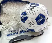 Сітка для футбольних воріт (шестигранна) 5х5 купити