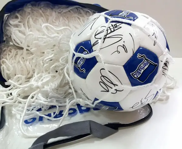 Сітка для футбольних воріт (шестигранна) 5х5 купити