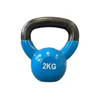 Гиря чугунная с виниловым покрытием 2 кг (Cиня) Generation Fitness FF51F1A-2kg купить
