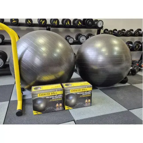 М'яч для фітнесу Generation Fitness Anti-Burst FF-75 см Silver з насосом купити недорого в Україні, фото 9