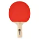 Ракетка для настільного тенісу Joola Beat (52050) купити
