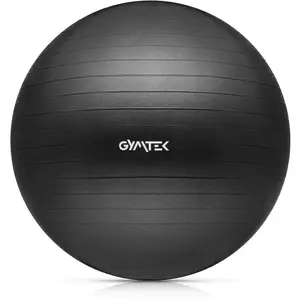 Фитбол Gymtek 65см черный + насос купить