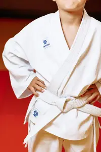Кімоно для карате біле, TM "Kintayo" , 120 зріст, щільність 240 гр/м.кв. купити