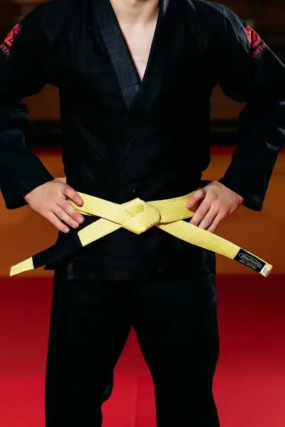 Жовтий пояс для джіу джитсу ТМ KINTAYO, 170 зріст купити