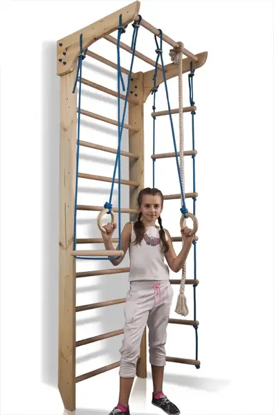 Детский спортивный уголок "Kinder 2-240" купить