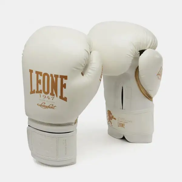 Боксерські рукавички Leone Mono White 12 ун. купити