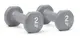 Гантели Reebok Dumbbells серый Уни 2 кг купить
