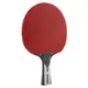 Ракетка для настольного тенниса Joola Carbon X Pro (54206) купить
