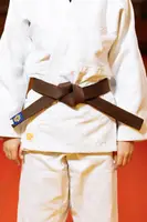 Коричневый пояс для дзюдо ТМ "Kintayo", Wazari 190 рост купить