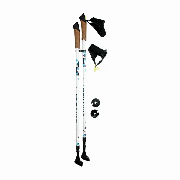 Палки для скандинавской ходьбы RE:FLEX NW 203 белые купить