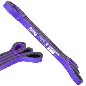 Эспандер-петля (резинка для фитнеса и кроссфита) PowerPlay 4116 Double Colors Фиолетово/Сера (14-23 кг) купить