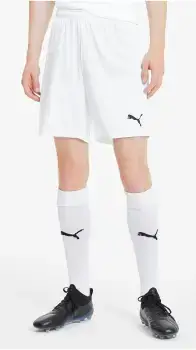 Шорти Puma teamGOAL 23 knit Shorts білий Чол XL купити недорого в Україні, фото 4