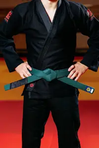 Зеленый пояс для джиу джитса ТМ KINTAYO, 170 рост купить