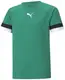 Футболка Puma teamRISE Jersey Jr зелений Діт 128 см купити недорого в Україні, фото 22379