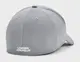 Кепка UA Men's Blitzing серый Муж M/L купить