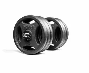 Гантеля разборная металлическая RN-Sport 31 кг (RN_QTR31) купить