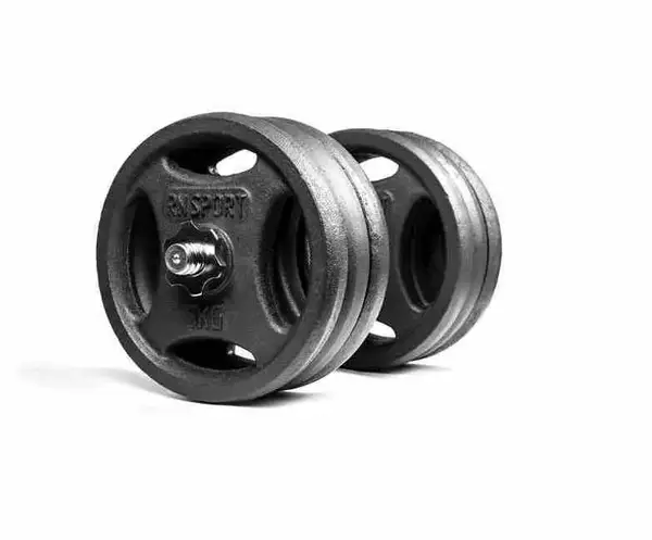 Гантеля разборная металлическая RN-Sport 31 кг (RN_QTR31) купить