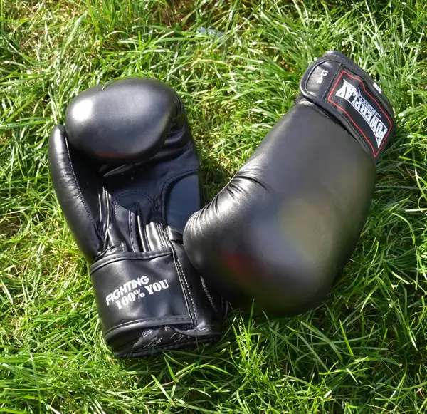 Боксерські рукавиці PowerPlay 3004 Classic Чорні 8 унцій купити недорого в Україні, фото 8