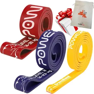 Еспандер-петля (гумка для фітнесу і кроссфіту) PowerPlay PP_0012 набір 3шт. опір 5-39кг. (сумарно 76кг.) купити