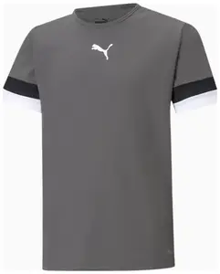 Футболка Puma teamRISE Jersey Jr сірий Діт 164 см купити
