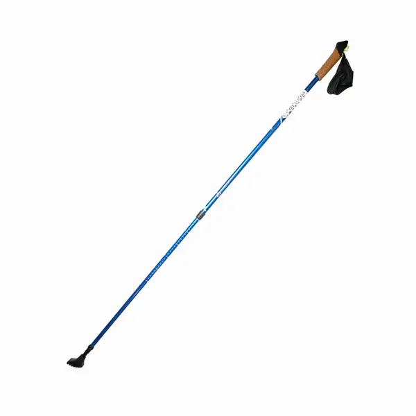 Палки для скандинавской ходьбы RE:FLEX NW 201 синие купить недорого в Украине, фото 3