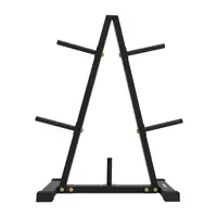 Стойка для дисков 30 мм inSPORTline RP100 купить