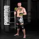 Перчатки для ММА Phantom APEX Sparring NEON L/XL купить
