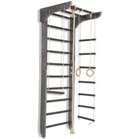 Спортивний куточок SportBaby "Kinder Loft 2-220" Спортивний куточок SportBaby "Kinder Loft 2-220" купити