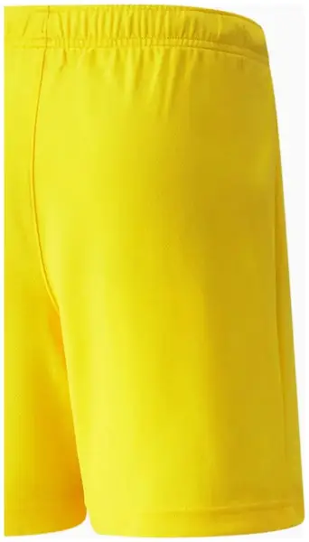 Шорти Puma teamRISE Short Jr жовтий Діт 152 см купити недорого в Україні, фото 2