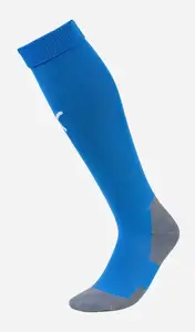 Гетры Puma Team LIGA Socks CORE голубой Уни 35-38 купить