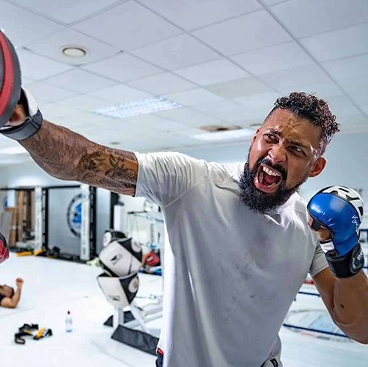 db681bbeeceaba24b04d9239a9371525