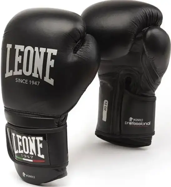 Боксерські рукавички Leone Professional Black 12 ун. купити