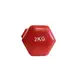 Гантель для фитнеса с виниловым покрытием Generation Fitness FF51D3A-2kg (красный) купить